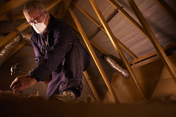 Best Insulation Installation Services in The Crossings, FL